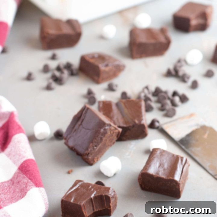 fudge-using-condensed-coconut-milk