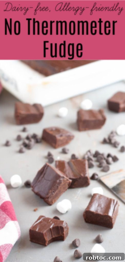 dairy-free-fudge-recipe-by-allergy-awesomeness