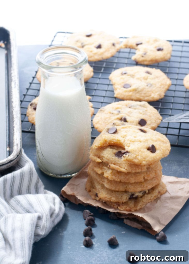delicious gluten-free dairy-free chocolate chip cookies stacked