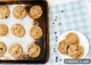 gluten-free-dairy-free-egg-free-oatmeal-chocolate-chip-cookie-recipe