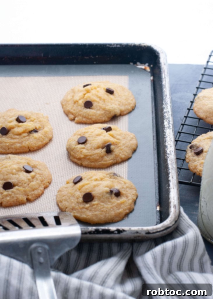 allergy-friendly chocolate chip cookies recipe