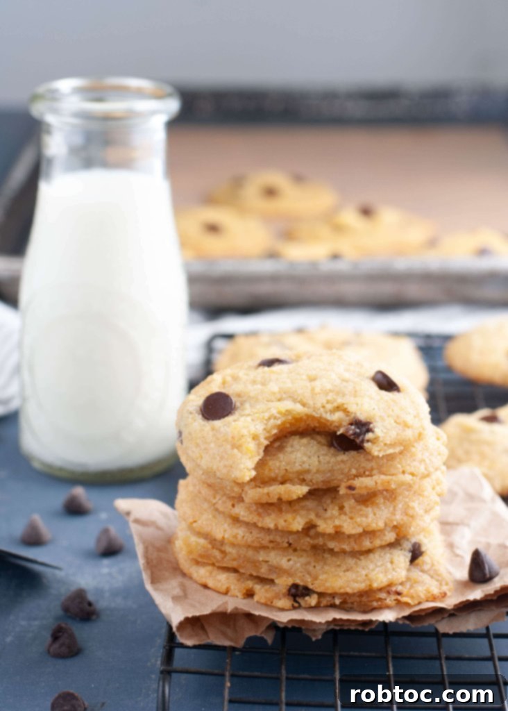 top 8 free chocolate chip cookies for multiple allergies