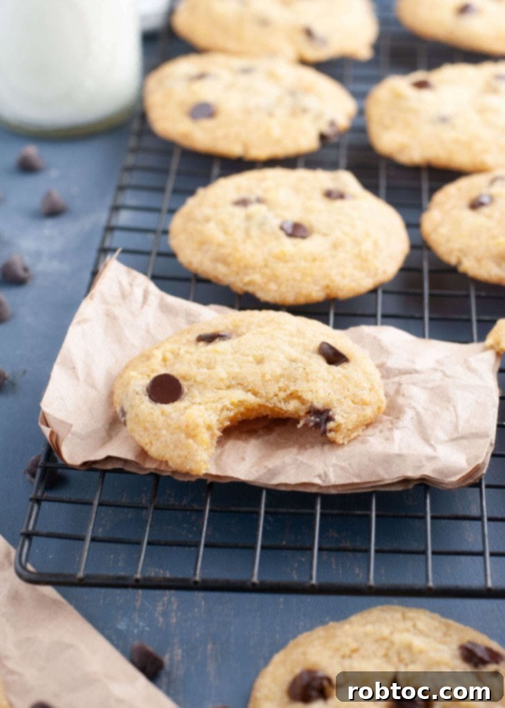 egg-free chocolate chip cookies texture