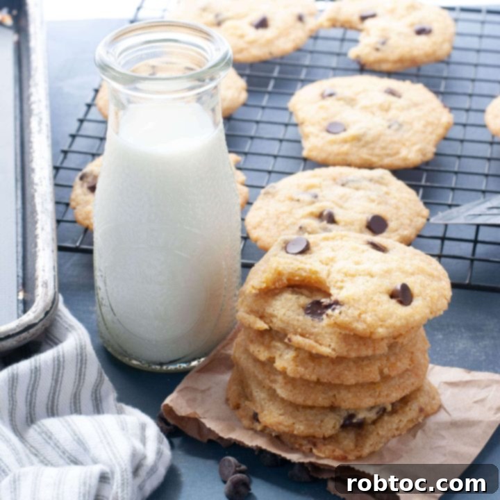 gluten-free-dairy-free-chocolate-chip-cookies-stacked-by-milk