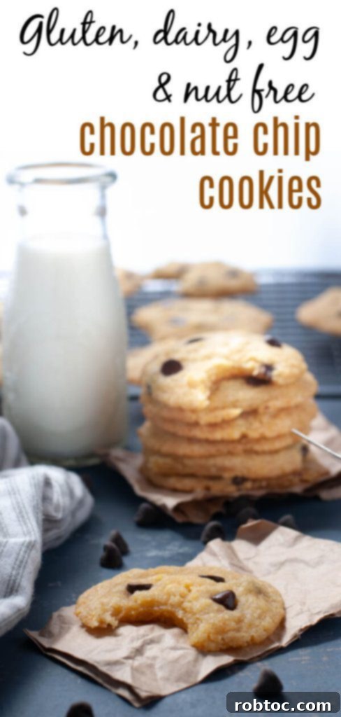 gluten-dairy-egg-nut-free-chocolate-chip-cookies pin image