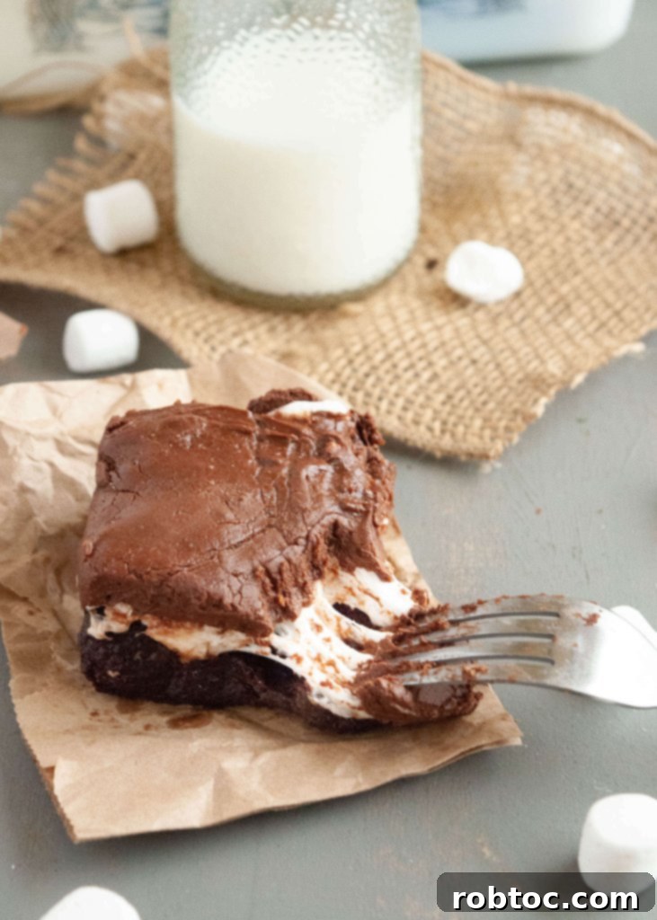 Allergy-friendly Mississippi Mud Brownies featuring a luscious chocolate frosting