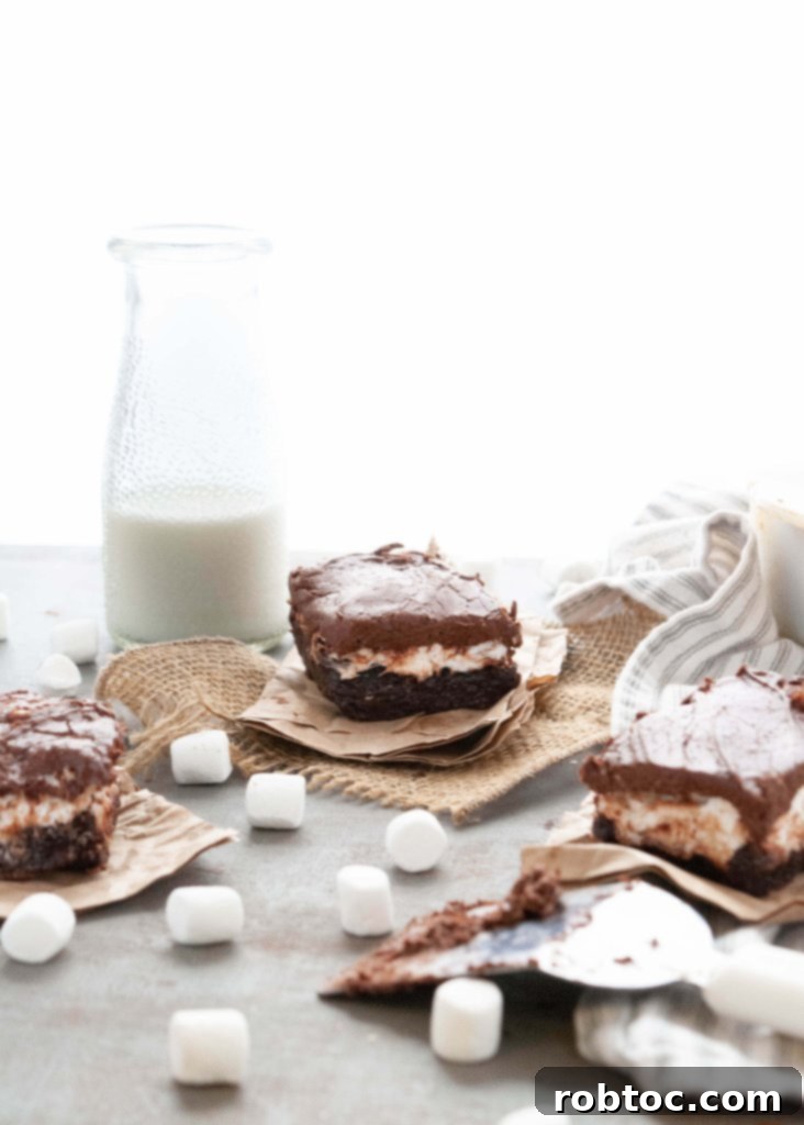 Vegan Mississippi Mud Brownies, perfect for those with dairy and egg allergies