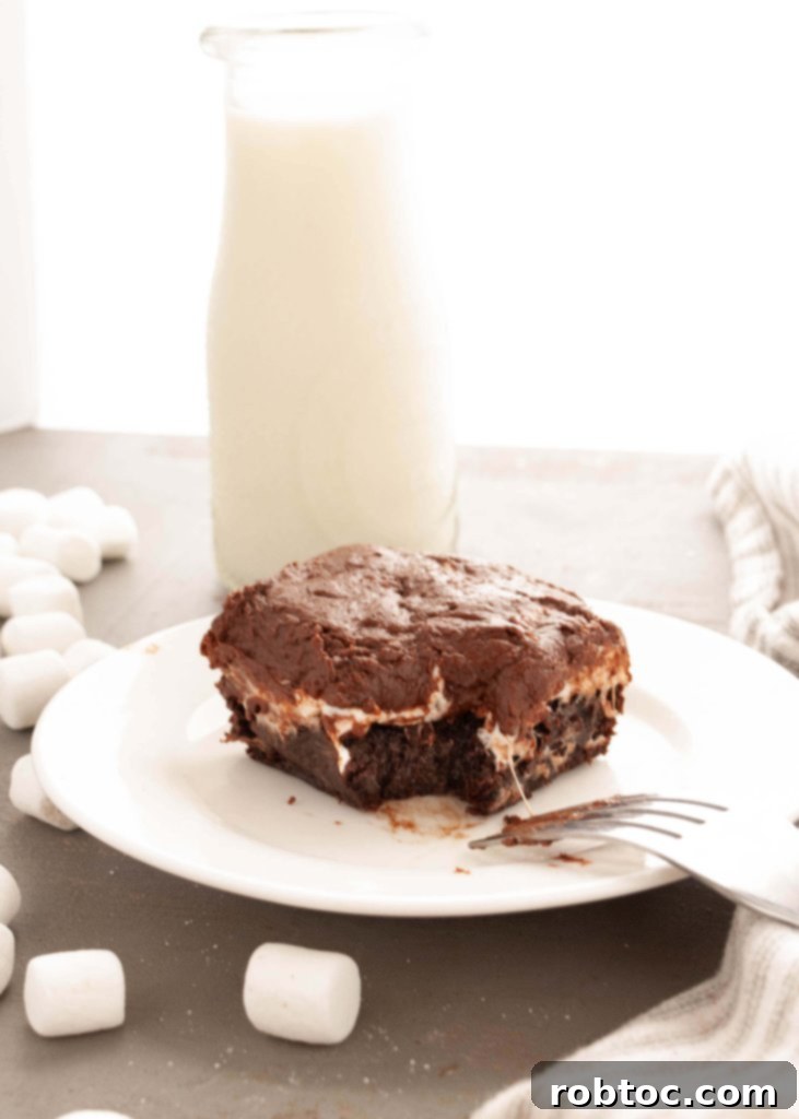 Gluten-free Mississippi Mud Brownies, a delicious treat for chocolate lovers