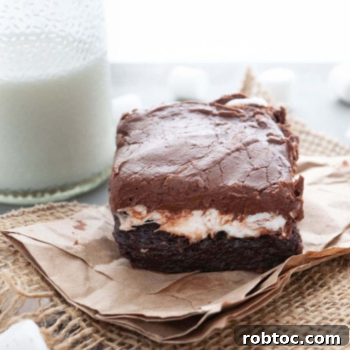 nut-free-mississippi-mud-brownies