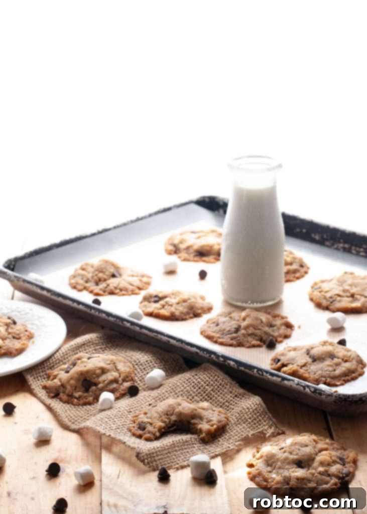 Allergen Free Smores Cookies 2 gluten-free-vegan-smores-cookie