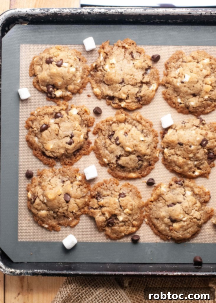 Allergen Free Smores Cookies 3 vegan-smores-cookies