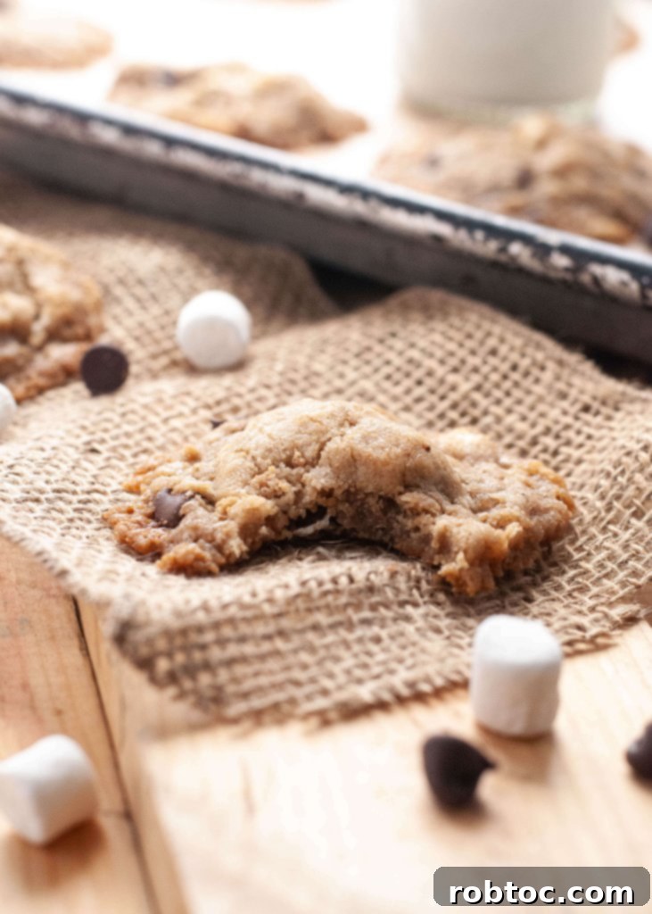 Allergen Free Smores Cookies 4 gluten-free-dairy-free-smores-cookies