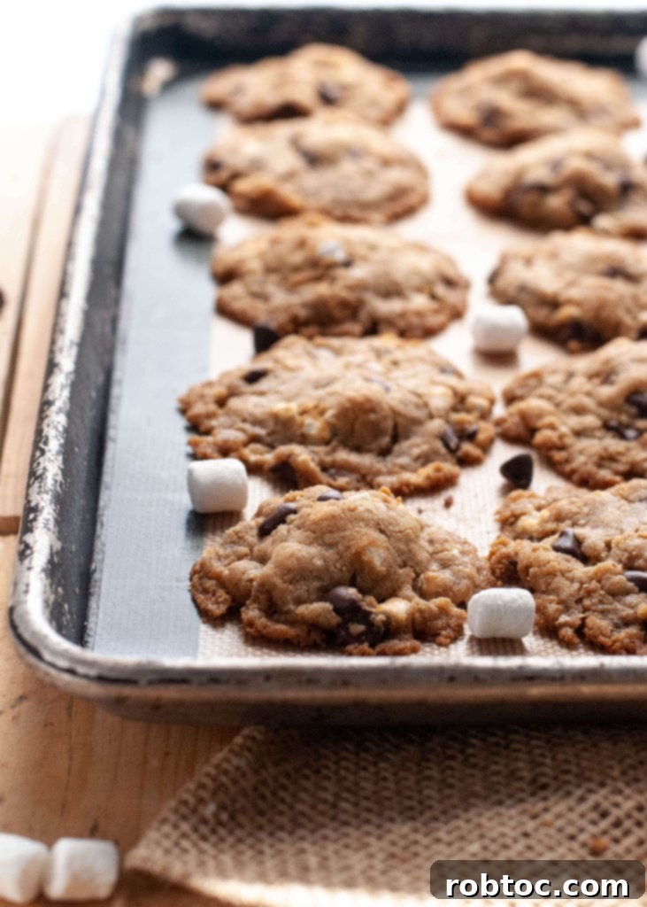 Allergen Free Smores Cookies 5 egg-free-smores-cookies