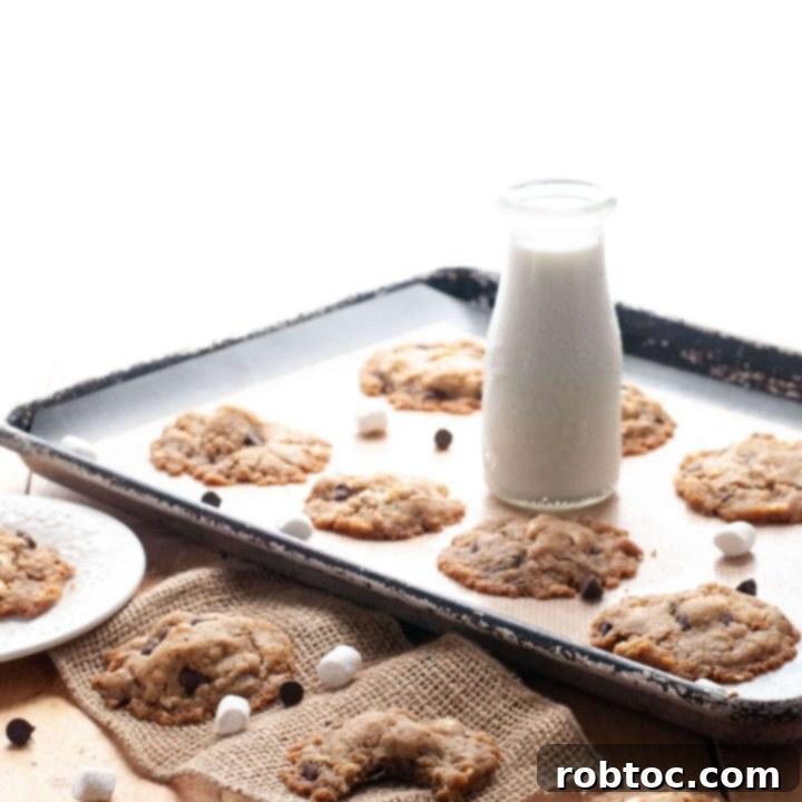 gluten-free-vegan-smores-cookie