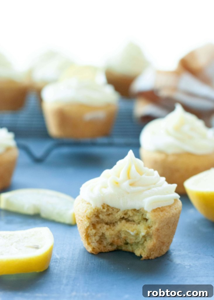 gluten-free-dairy-free-lemon-cupcakes (1 of 1)