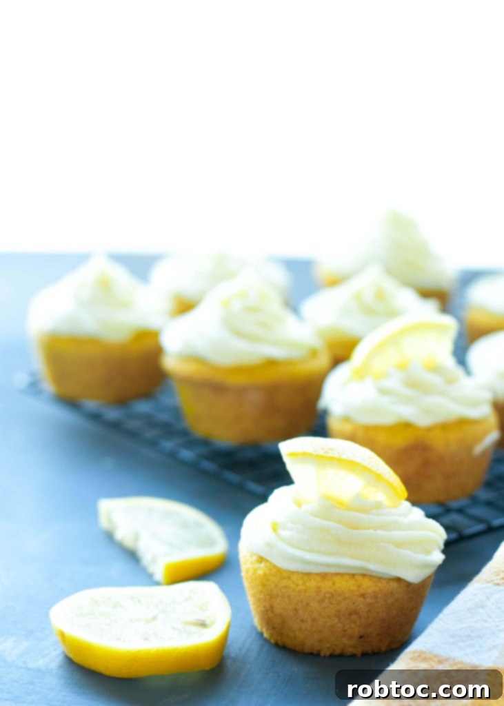 gluten-free-vegan-lemon-cupcakes (1 of 1)