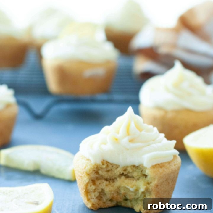 gluten-free-dairy-free-lemon-cupcakes (1 of 1)