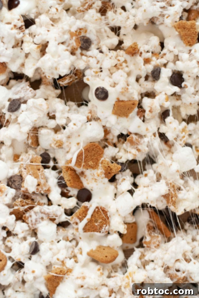 gluten-free-dairy-free-smores-popcorn-recipe
