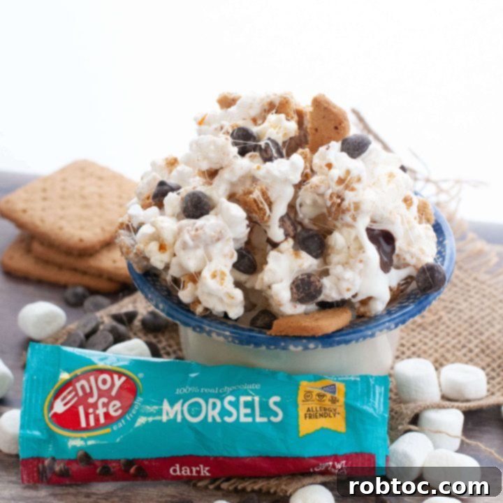 vegan-smores-popcorn-recipe