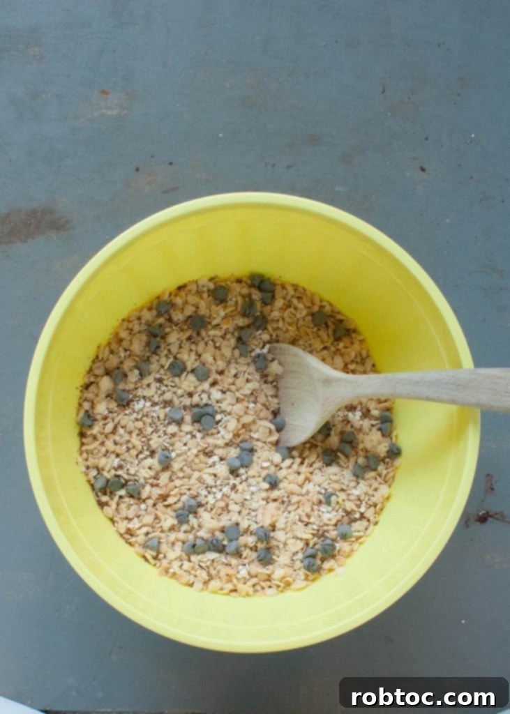 Quick Homemade Chocolate Granola Bars Vegan Gluten Free 3 Chewy homemade chocolate granola bars cut into squares