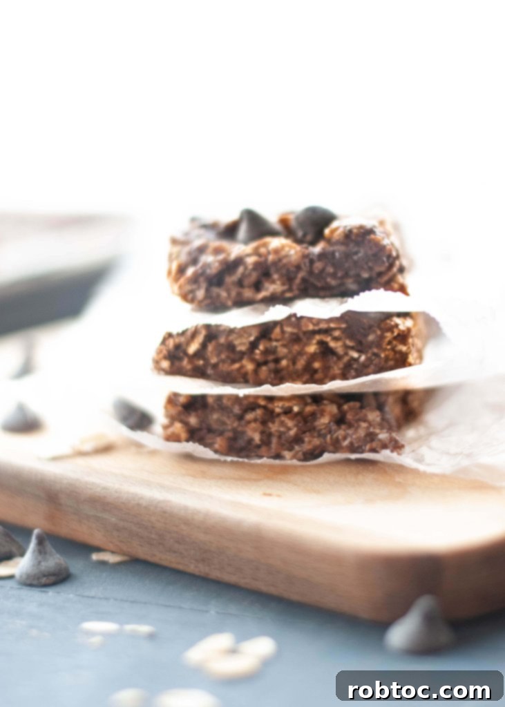 Quick Homemade Chocolate Granola Bars Vegan Gluten Free 4 Nut-free granola bar with chocolate chips