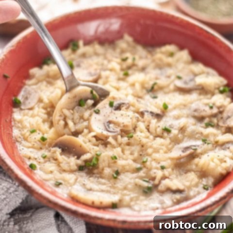 mushroom-rice