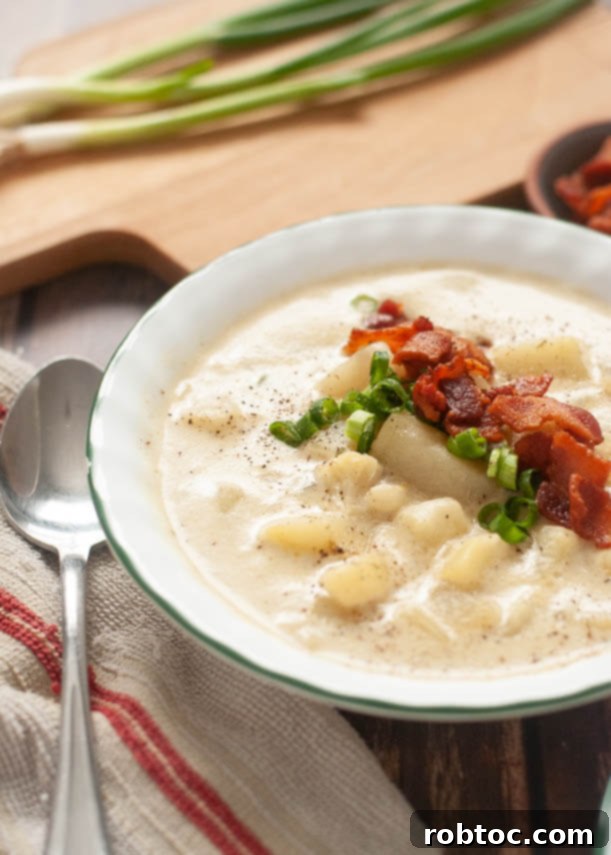 Creamy Instant Pot Loaded Potato Soup Dairy-Free Gluten-Free and Vegan 6 Creamy dairy-free soup recipe in a bowl, ready for garnishes