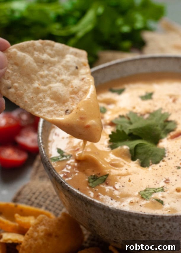 Creamy Cashew-Free Vegan Queso 2 dairy-free-cheese-dip-recipe