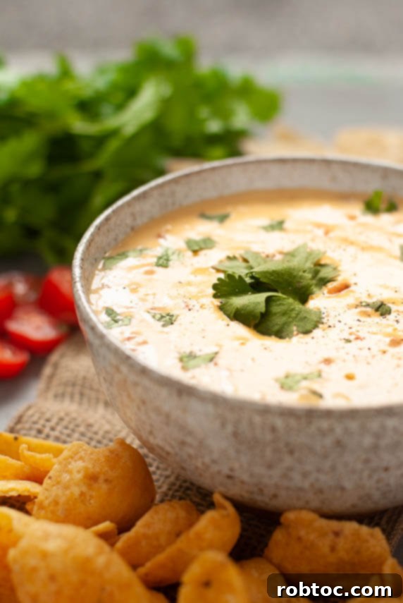 Creamy Cashew-Free Vegan Queso 4 velveeta-rotel-dip-dairy-free