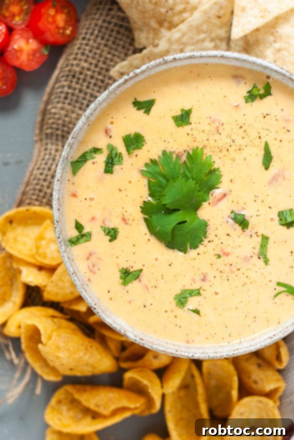 Creamy Cashew-Free Vegan Queso 5 vegan-rotel-queso-dip