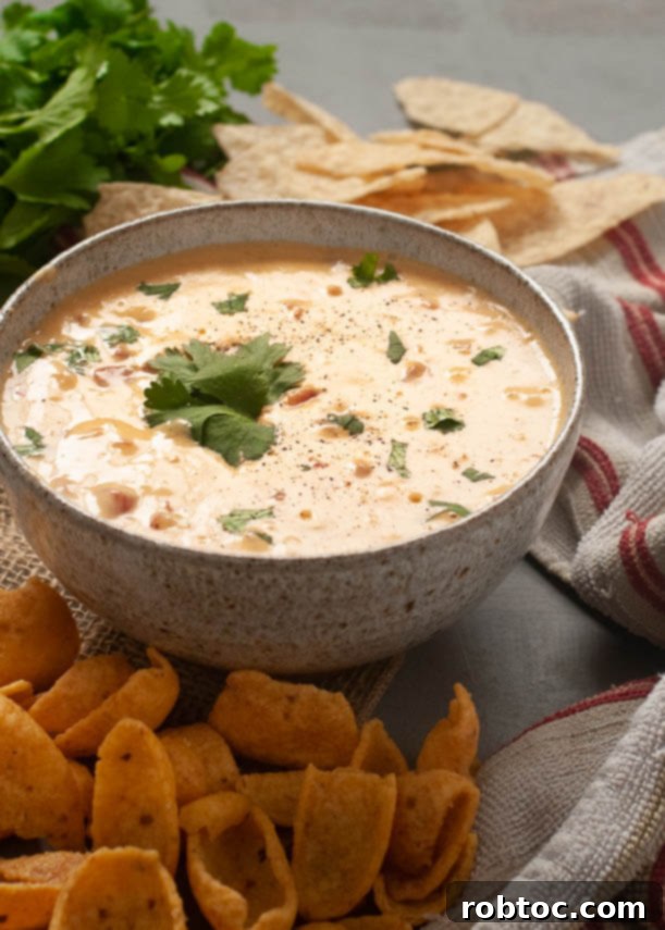 Creamy Cashew-Free Vegan Queso 6 homemade-vegan-cheese-dip