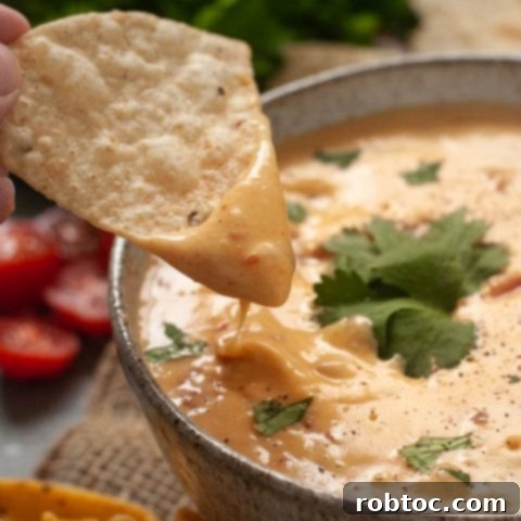 dairy-free-cheese-dip-recipe