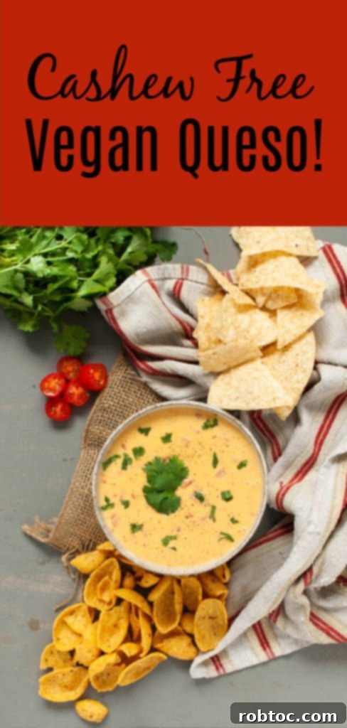 Creamy Cashew-Free Vegan Queso 9 cashew-free-vegan-queso-recipe-by-allergy-awesomeness
