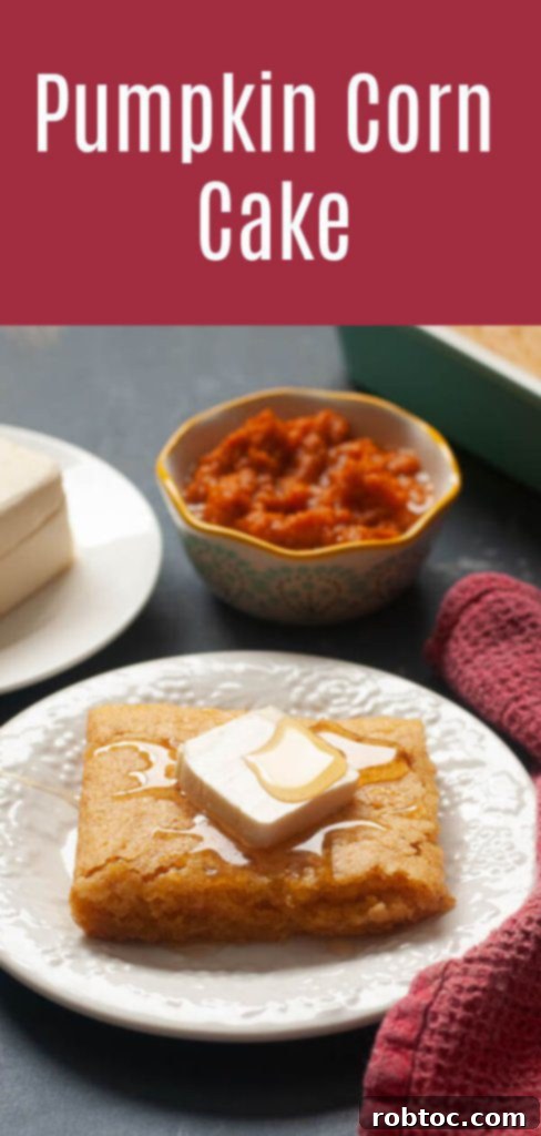 Harvest Pumpkin Cornbread Gluten-Free and Vegan 9 pumpkin corn cake gluten free vegan