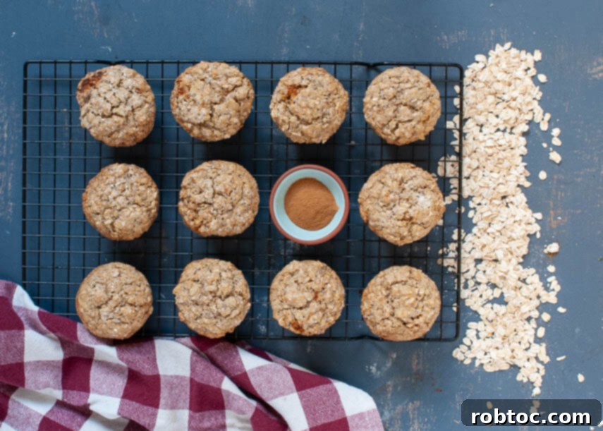 cinnamon-oatmeal-muffin-recipe