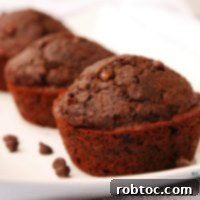 Double Chocolate Muffins (GF, DF, Egg, Soy, Peanut/Tree nut Free, Top 8 Free, Vegan) copyrighted by Allergy Awesomeness