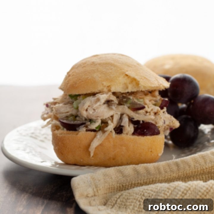 gluten-dairy-and-egg-free-chicken-salad-sandwich