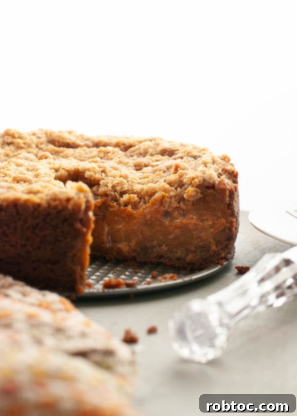 dairy free pumpkin crumble pie, overhead shot