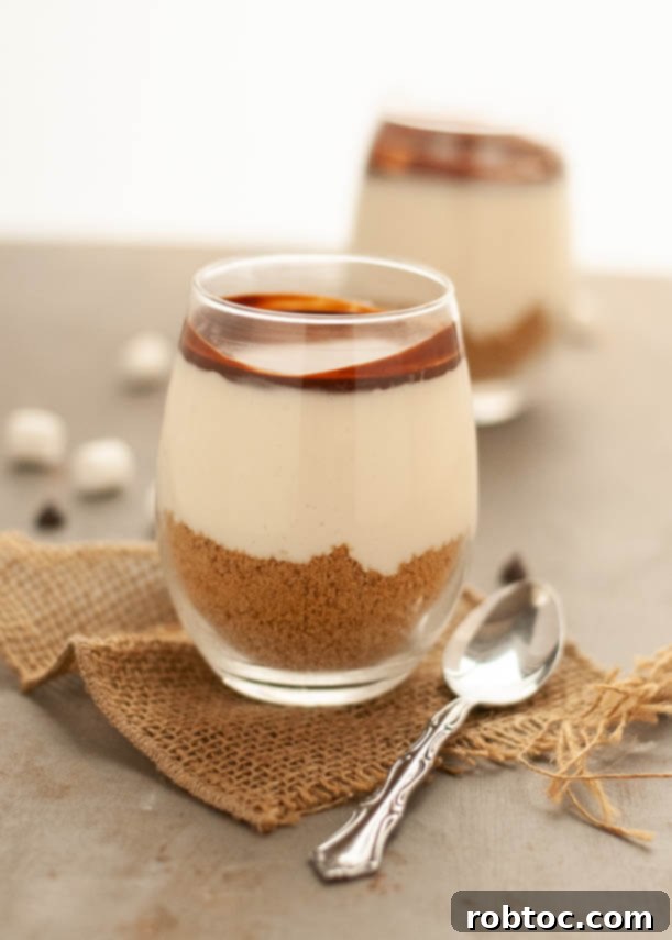 Effortless Gluten Free Dairy Free Smores Parfaits 4 Close-up of a gluten-free s'mores parfait showing marshmallow and chocolate layers