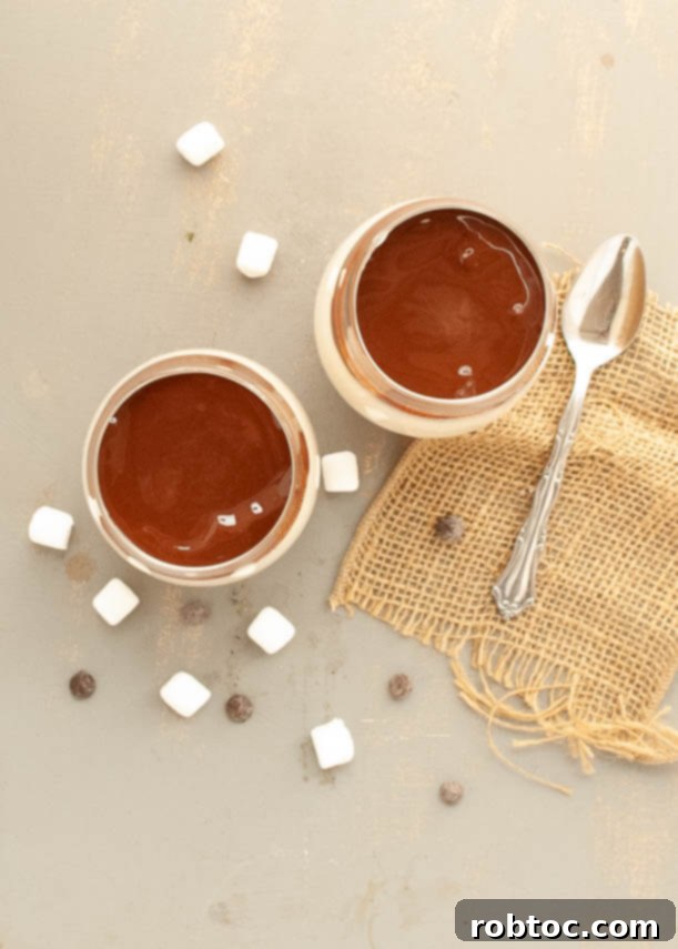 Effortless Gluten Free Dairy Free Smores Parfaits 5 Beautifully layered allergy-friendly s'mores parfaits