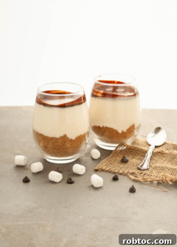 Effortless Gluten Free Dairy Free Smores Parfaits 6 Multiple no-bake s'mores parfaits arranged beautifully