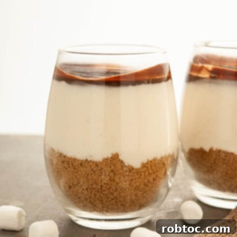 No Bake Gluten & Dairy Free S'mores Parfaits