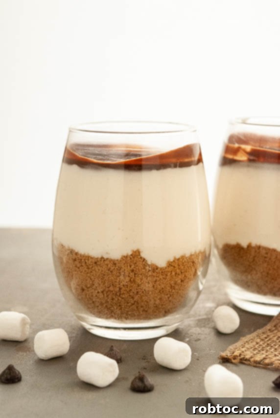 S'mores Parfaits on display