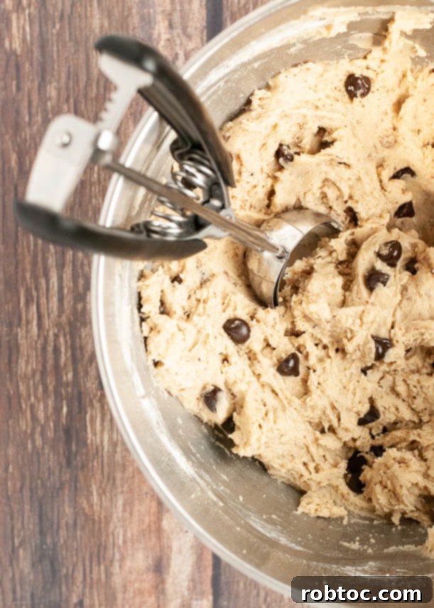 DoubleTree Cookies Gluten Free or Vegan 3 vegan-gluten-free-doubletree-chocolate-chip-cookies