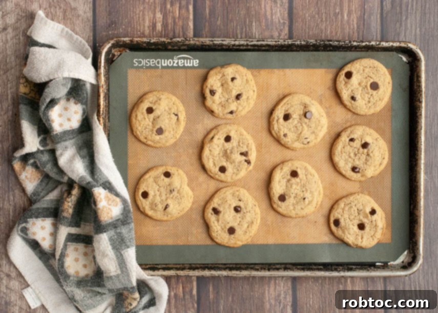 DoubleTree Cookies Gluten Free or Vegan 4 doubletree-chocolate-chip-cookies-made-gluten-free