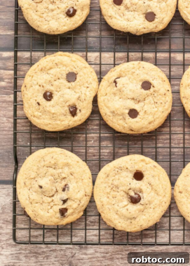 DoubleTree Cookies Gluten Free or Vegan 5 doubletree-chocolate-chip-cookies-made-vegan