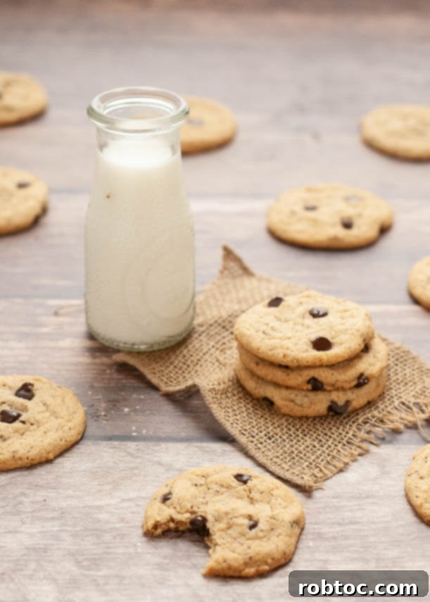 DoubleTree Cookies Gluten Free or Vegan 6 gluten-free-vegan-doubletree-chocolate-chip-cookie-recipe