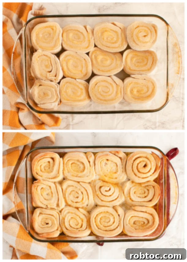 gluten-free-vegan-orange-rolls-before-and-after-baking-comparison-photo