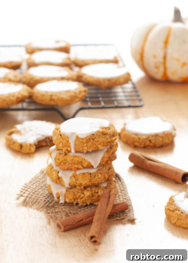 gluten-free-vegan-fall-cookie