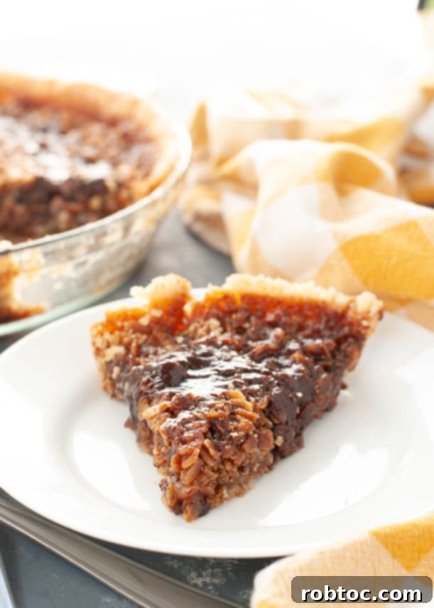 gluten-free-vegan-black-bottom-oatmeal-pie